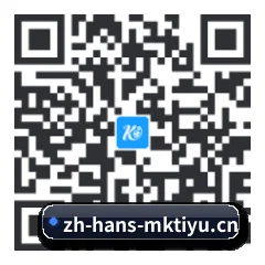 iPhone 专版 二维码